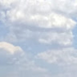 Meet your Posher, Avery